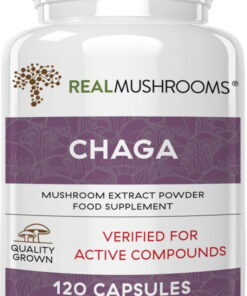 Chaga mushroom extract powder