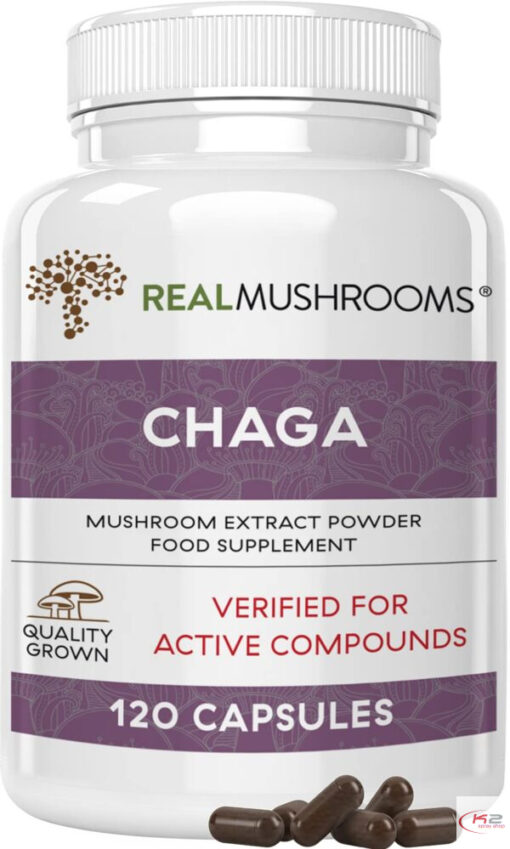Chaga mushroom extract powder